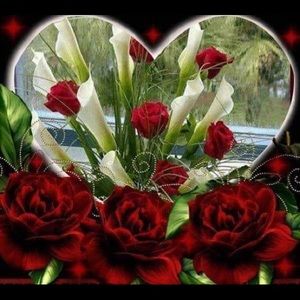 Meet your Posher, Assia